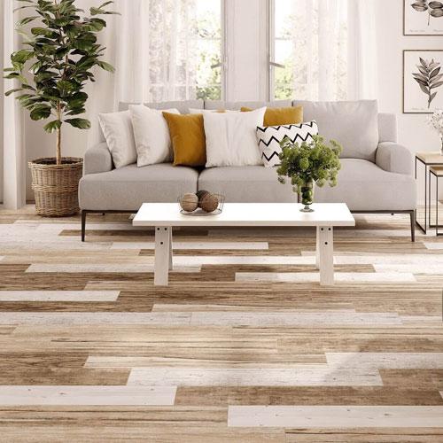 Porcelain Body Tiles
